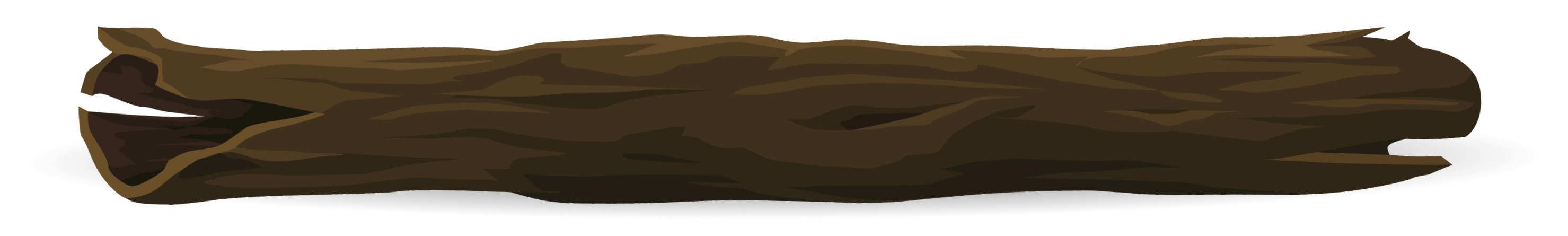 Tree Branch